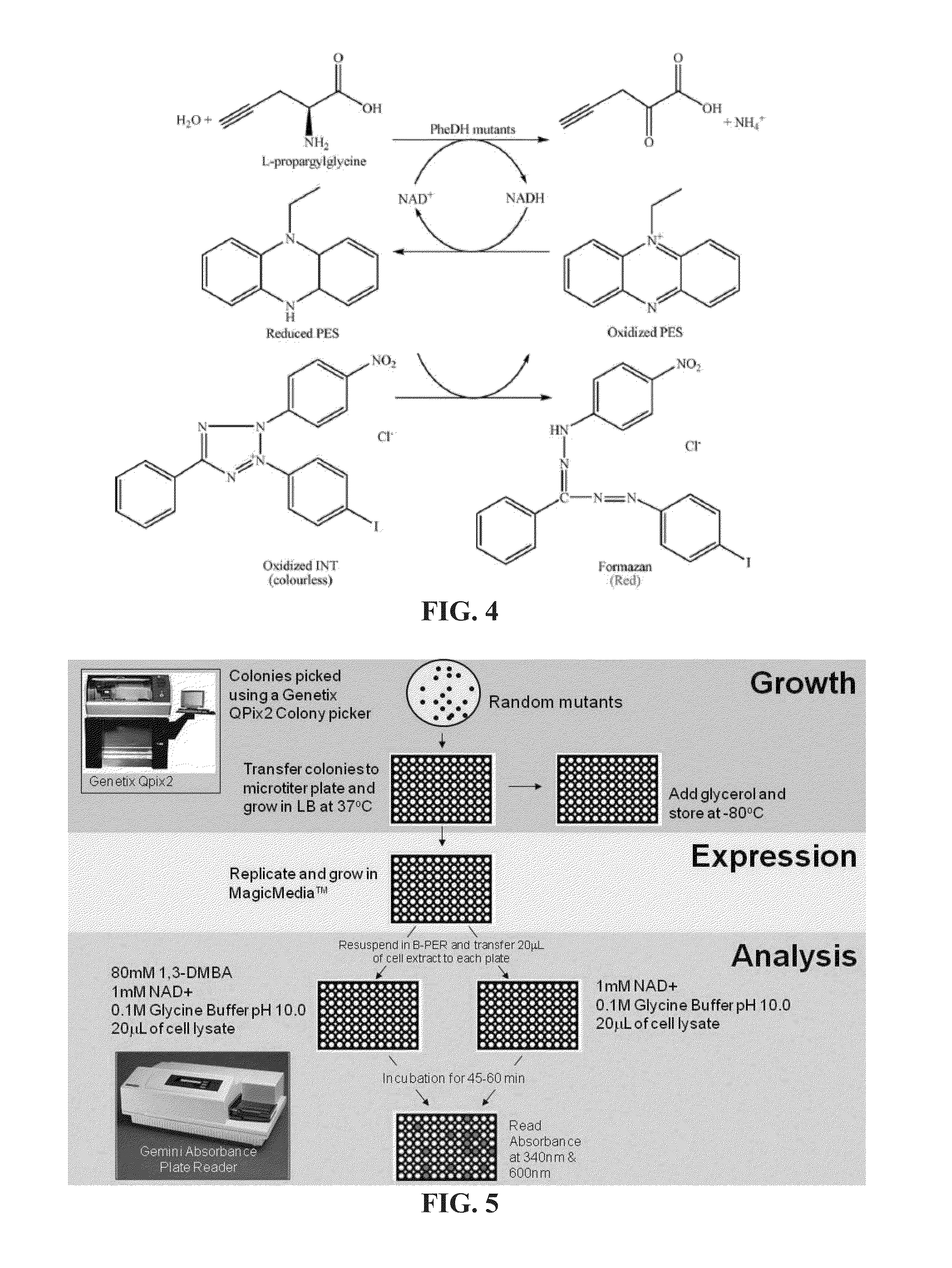 Engineered amine dehydrogenases and methods of use thereof