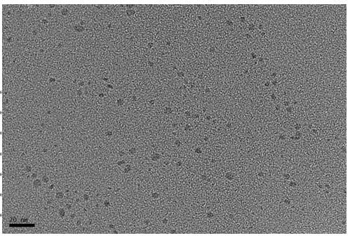 Method for quantitative detection of alanine aminotransferase in solution based on copper nanocluster fluorescent probe