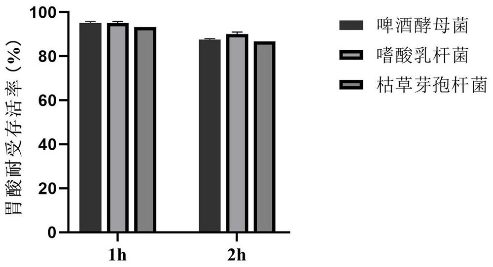 Enzyme and microecological preparation composite agent and preparation method thereof