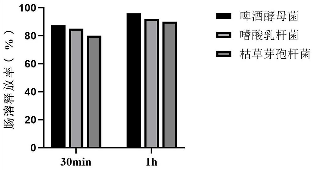 Enzyme and microecological preparation composite agent and preparation method thereof