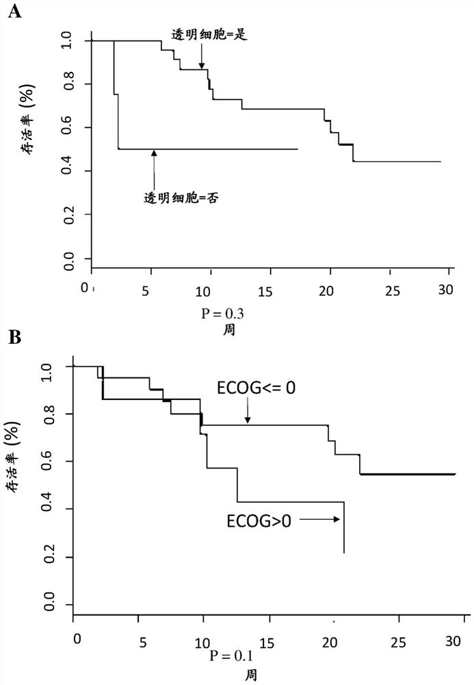 Methods and compositions for identifying whether a subject suffering from a cancer will achieve a response with an immune-checkpoint inhibitor