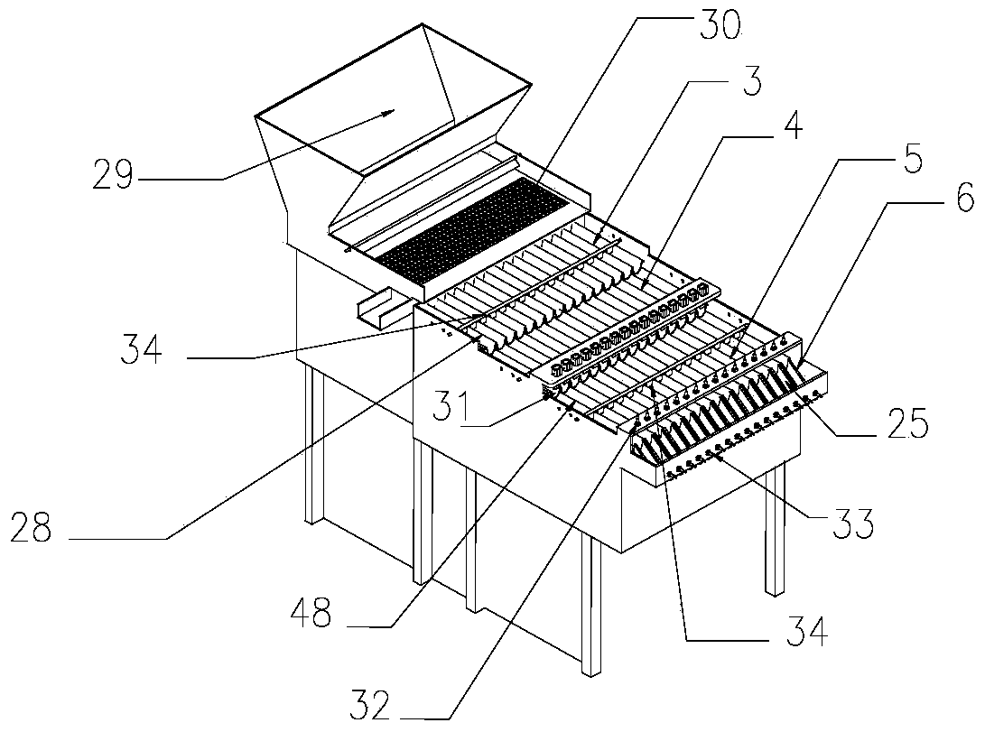 Betel nut automatic seed selection and cutting machine