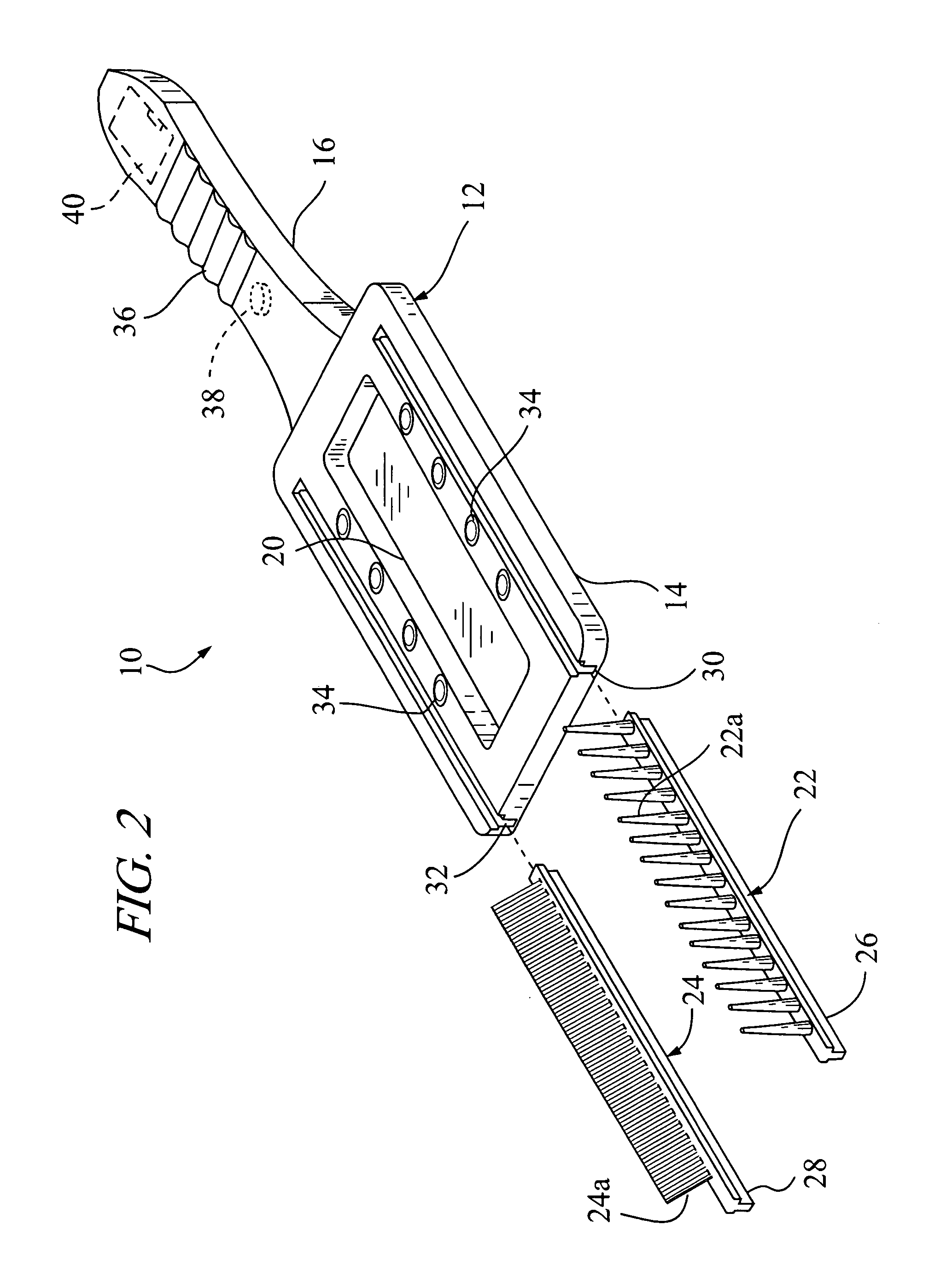 Insect locator and removal tool