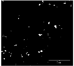 Preparation method of cerium oxide microspheres