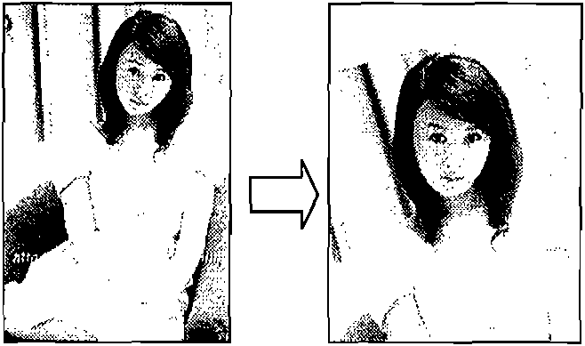 Method and system for automatically segmenting hairs in head images