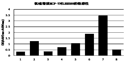 Cell autophagy-based antitumor drug screening method