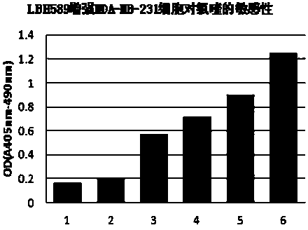 Cell autophagy-based antitumor drug screening method