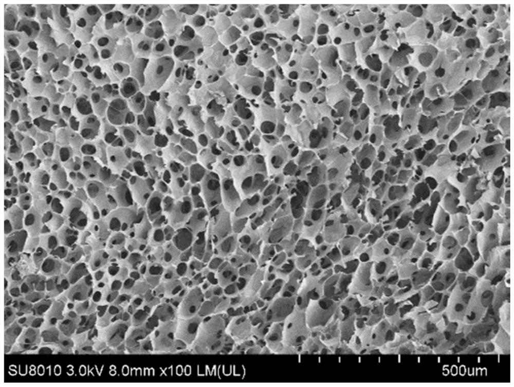 Ultra-small particle size amorphous calcium phosphate carboxymethyl chitosan nanocluster material and method