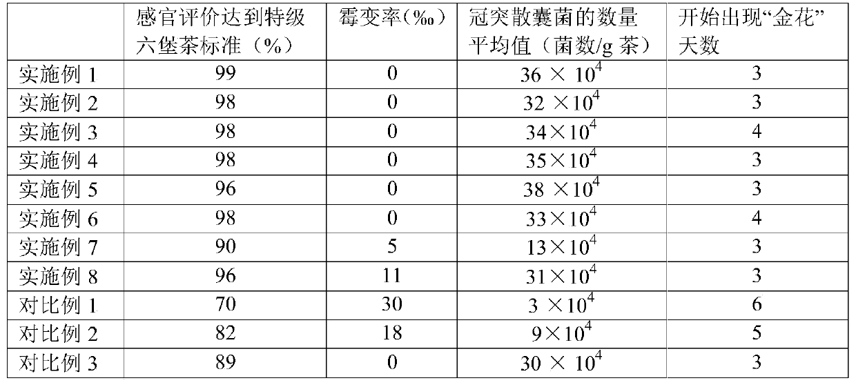 A kind of standardized production process of Jinhua Liubao tea