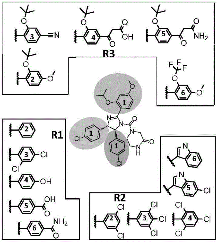 A kind of small molecule inhibitor of mdmx/mdm2 and its preparation method and application