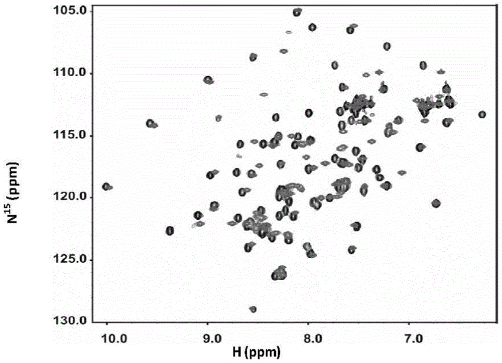 A kind of small molecule inhibitor of mdmx/mdm2 and its preparation method and application