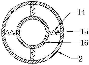 Tree stabilization reinforcing device for forestry planting