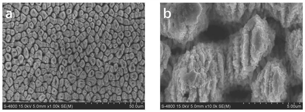 Low-surface-energy anti-adhesion nickel-titanium wire and processing method thereof