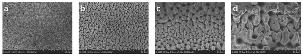 Low-surface-energy anti-adhesion nickel-titanium wire and processing method thereof