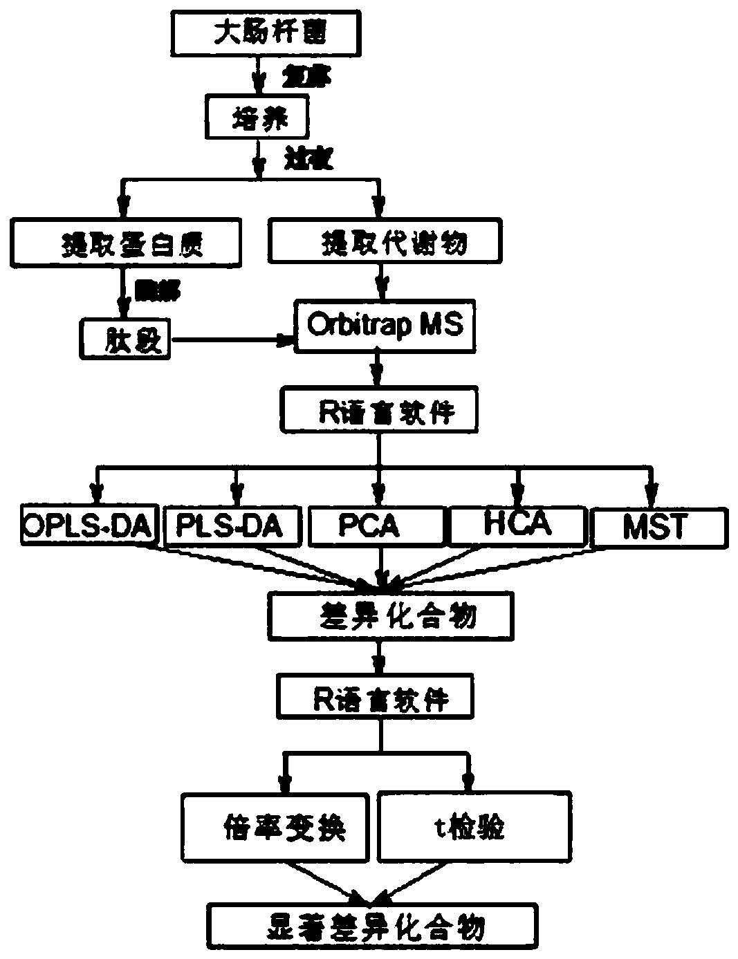 Method for recognizing carbapenems-resistant Escherichia coli by using pattern recognition technology