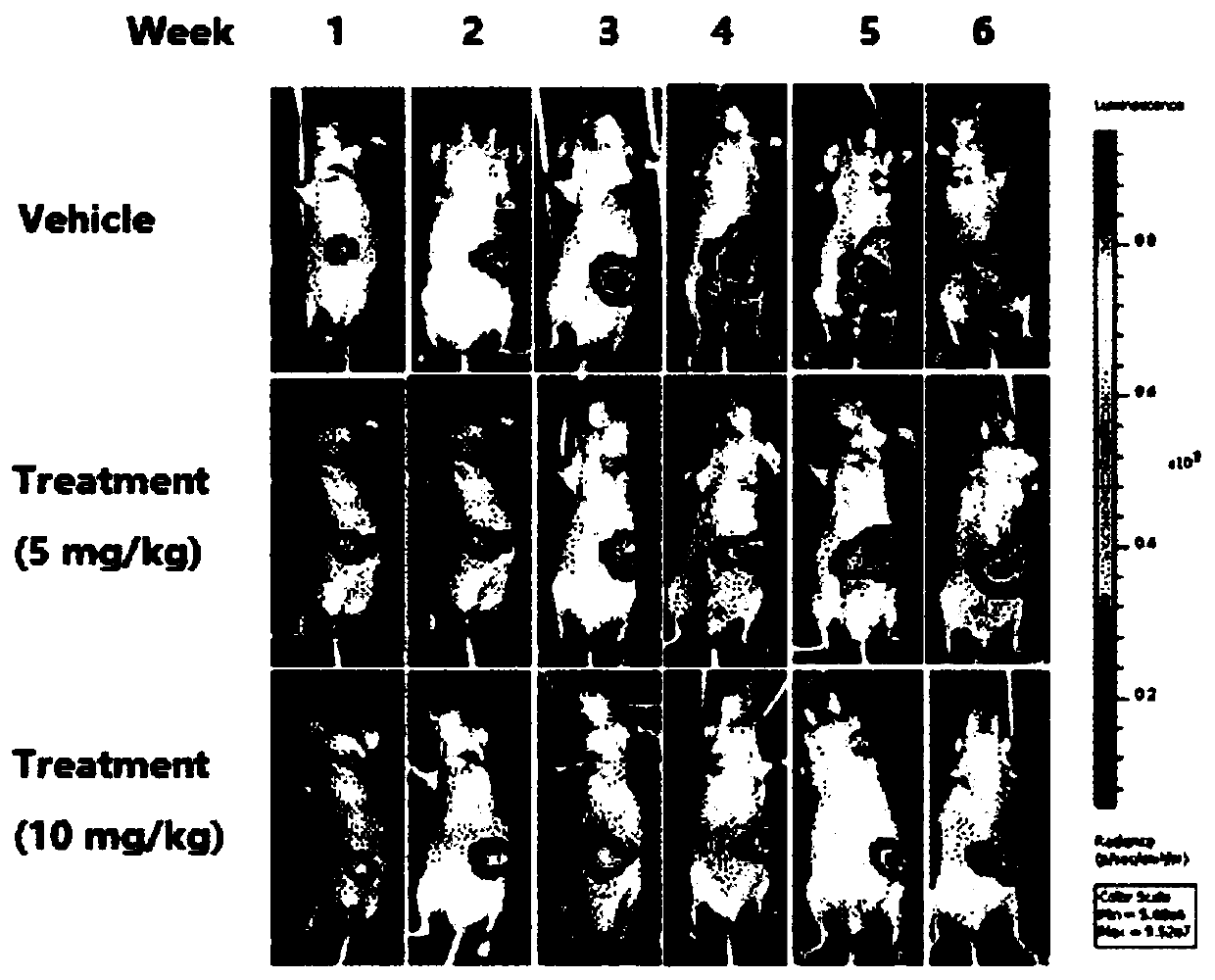 Application of berberine hydrochloride in restraining pancreatic cancer