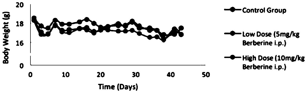 Application of berberine hydrochloride in restraining pancreatic cancer