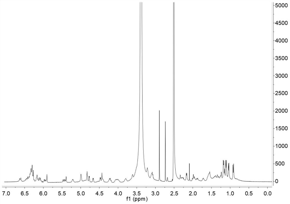 PH-responsive amphotericin B derivative as well as preparation method and application thereof