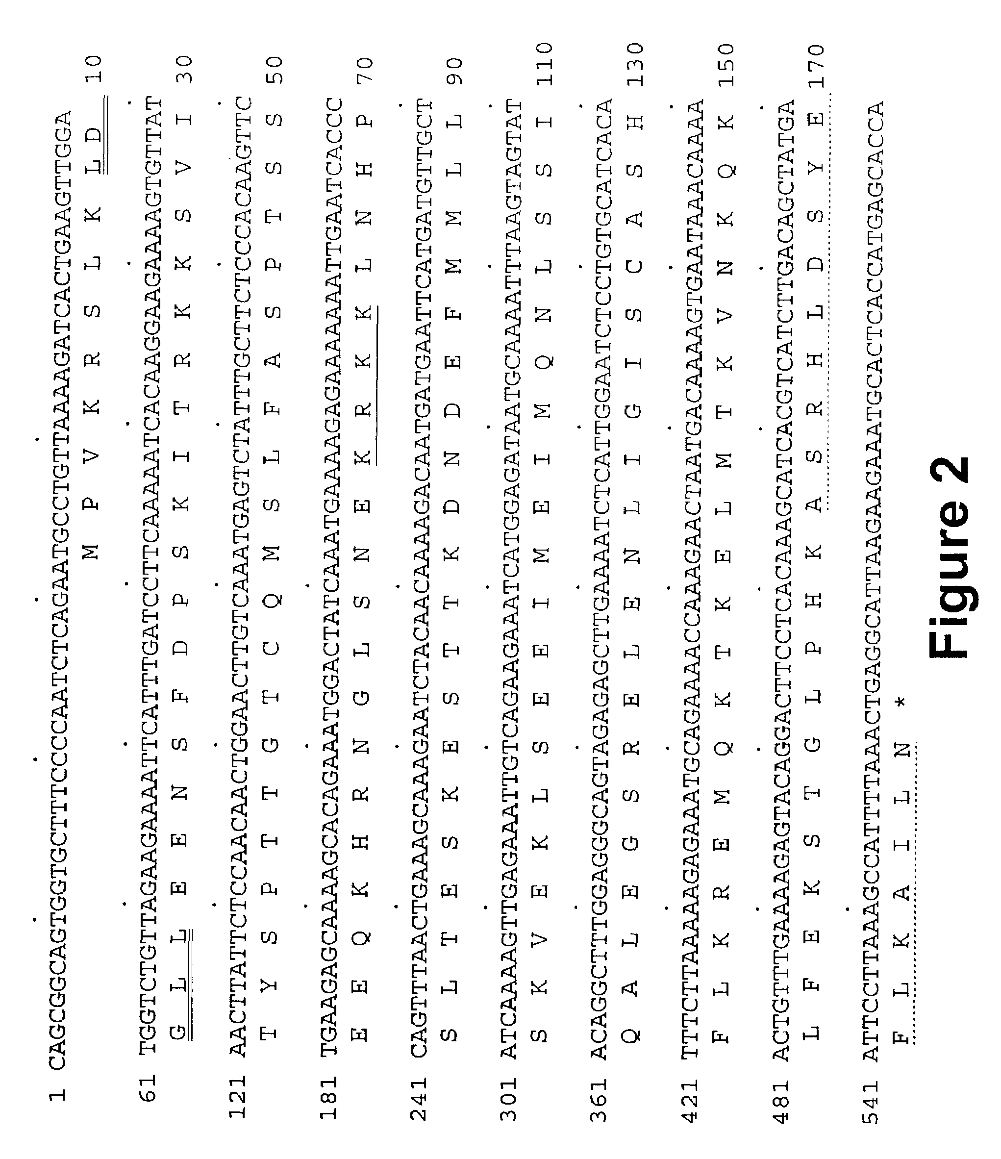 NRIF3, a novel co-activator for nuclear hormone receptors