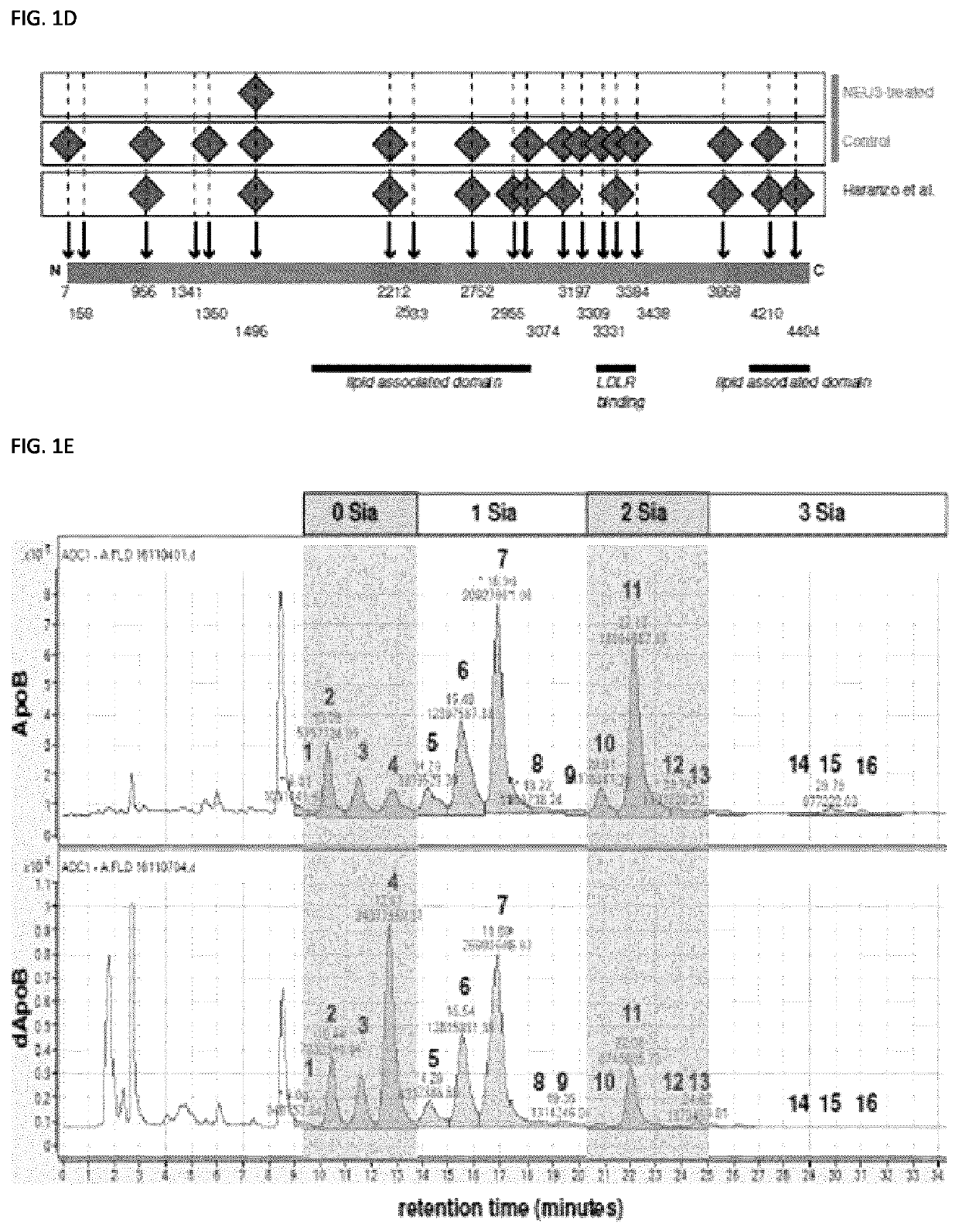 Methods of preventing or treating atherosclerosis with inhibitors of specific isoenzymes of human neuraminidase