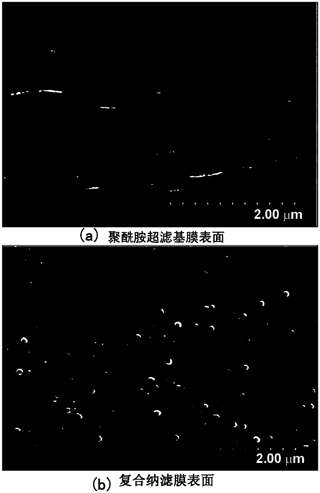 Graphene oxide modified PA (polyamide) composite nanofiltration membrane and preparation method thereof