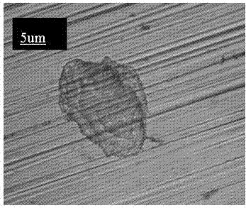 Method for in-situ full-field early detection of stainless steel pitting