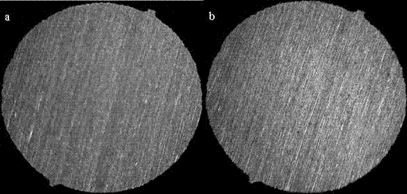 Method for in-situ full-field early detection of stainless steel pitting