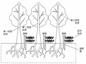 Multiple cropping mode for improving benefits of lychee orchard in South China and ecologically restoring soil