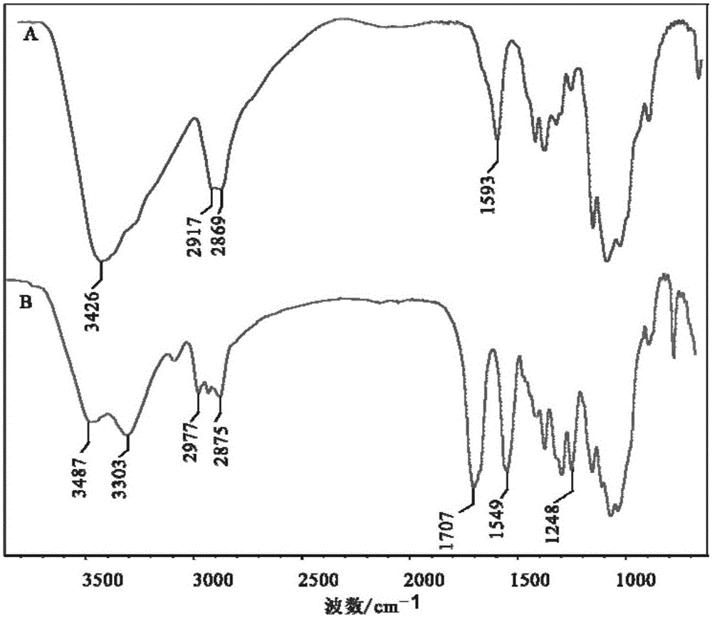 Chitosan-alkoxy formamide and preparation method thereof