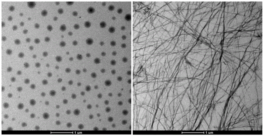 Self-assembled nanospheres, hydrogels and their preparation methods based on commercial amino acids