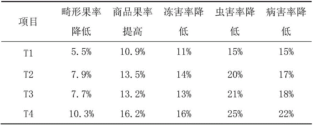 Method for preparing amino acid liquid water-soluble fertilizer through compound stepped fermentation of seaweed