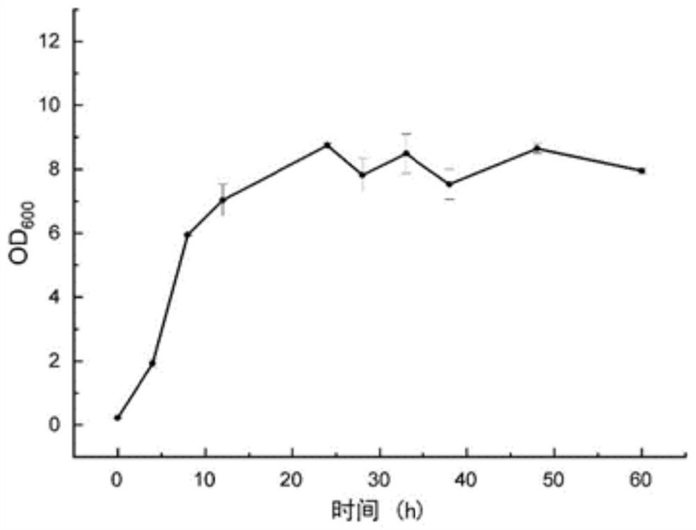 Lactobacillus casei DY13 as well as product and application thereof