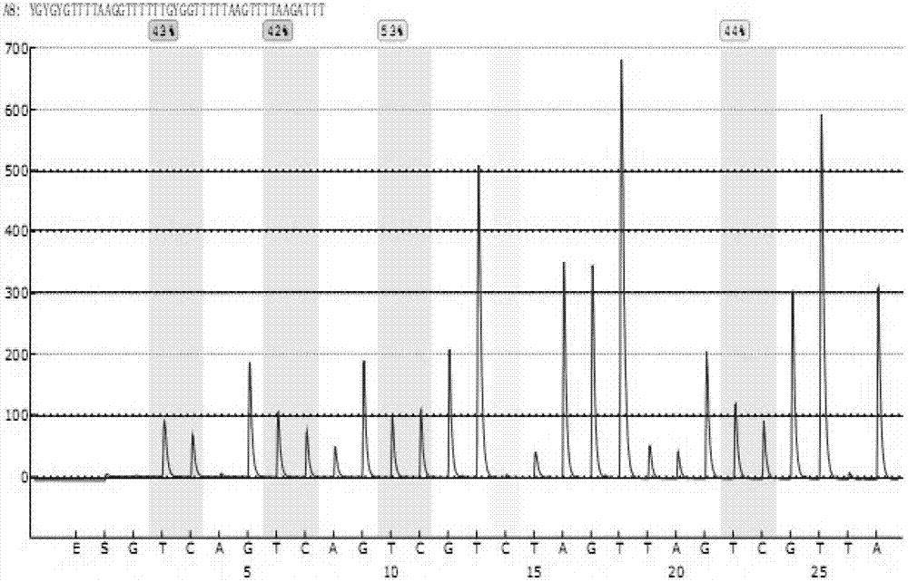 Kit for detecting methylation degree for GCK (glucokinase) gene associated with type 2 diabetes and application thereof