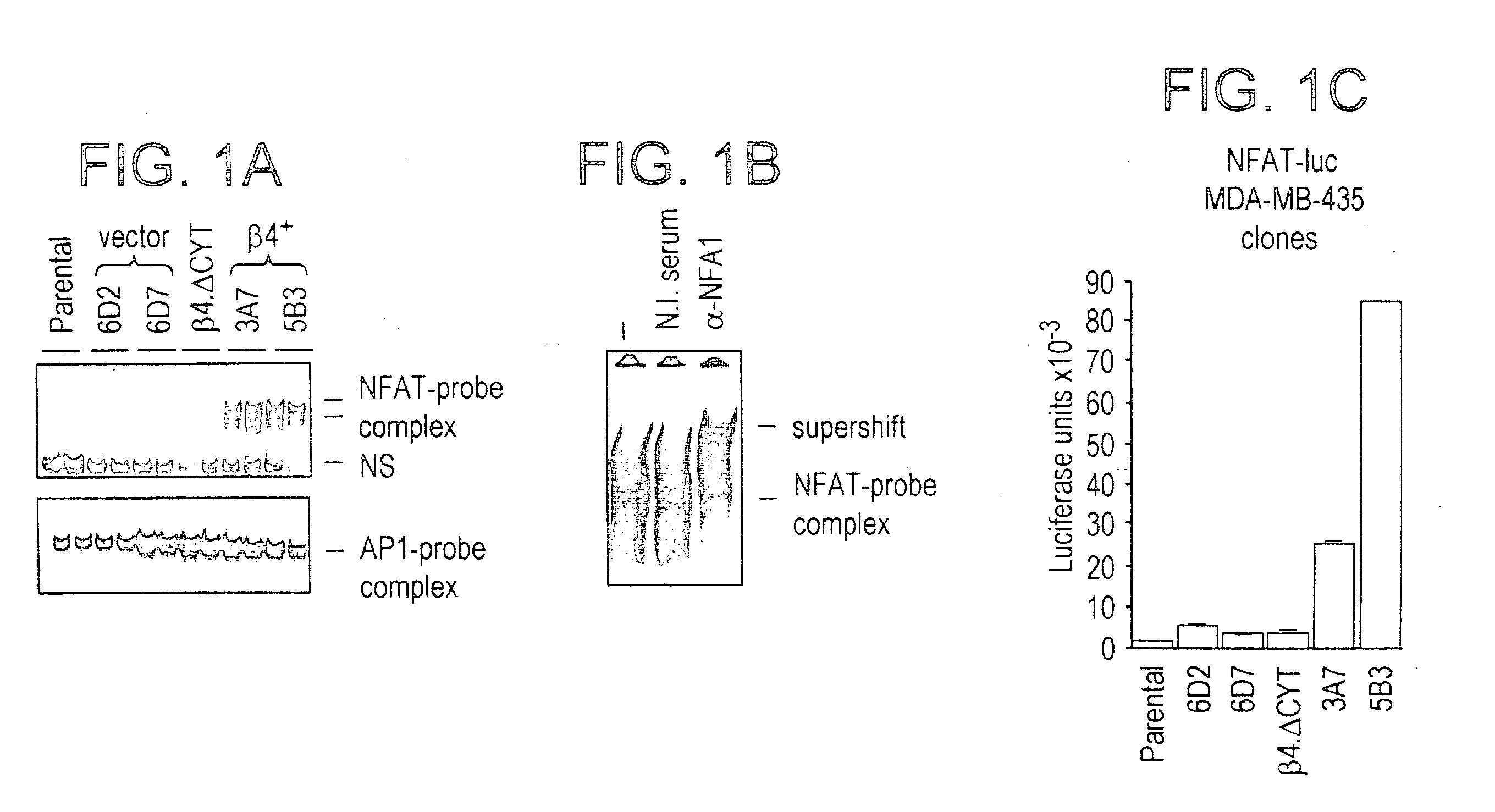 NFAT transcription factors in tumor progression