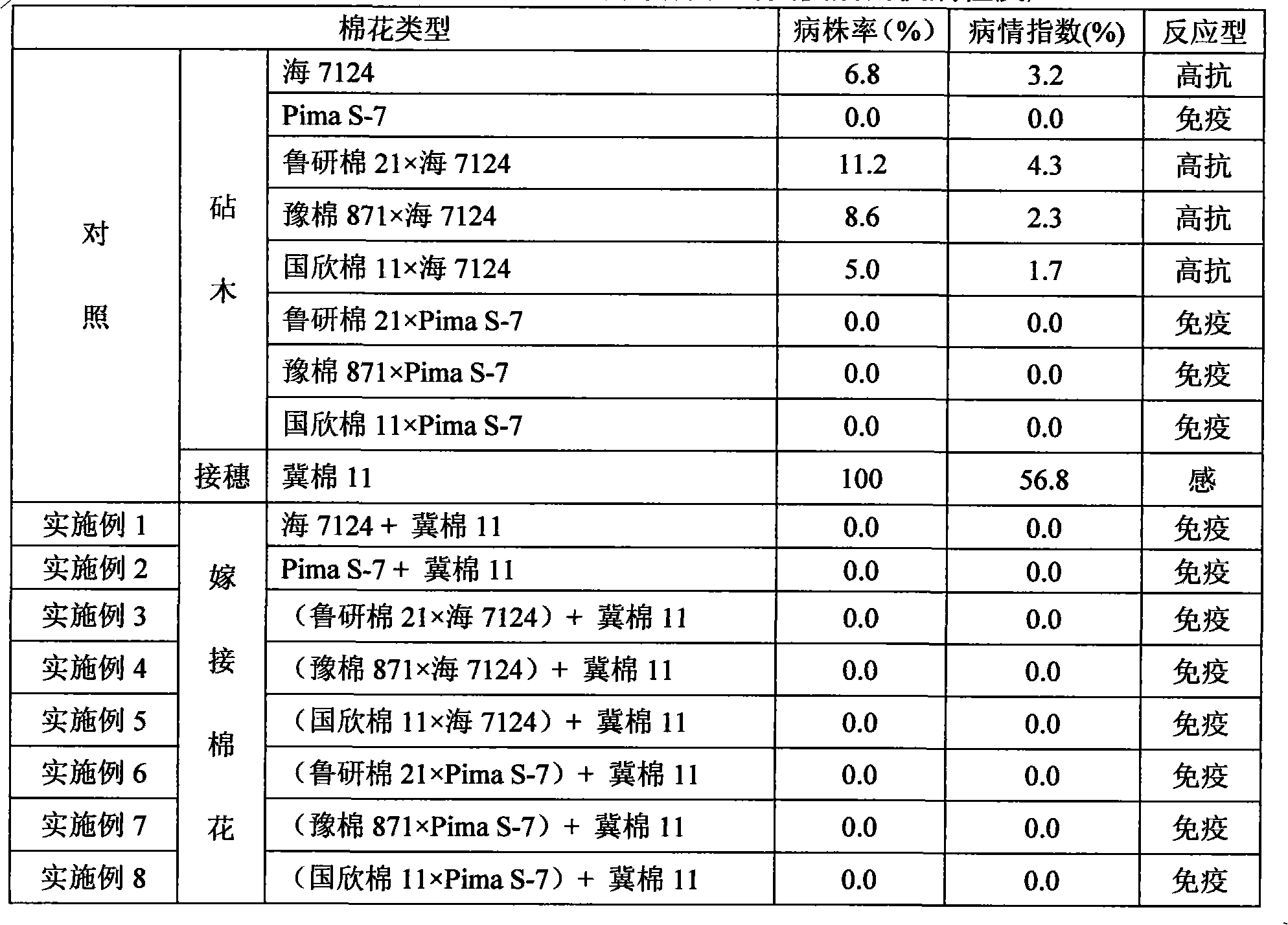 Method for culturing cotton resisting micro-bundle disease