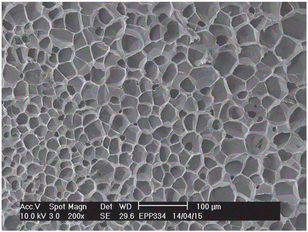 High-melt-strength anti-impact polypropylene foamed board and preparation and application thereof