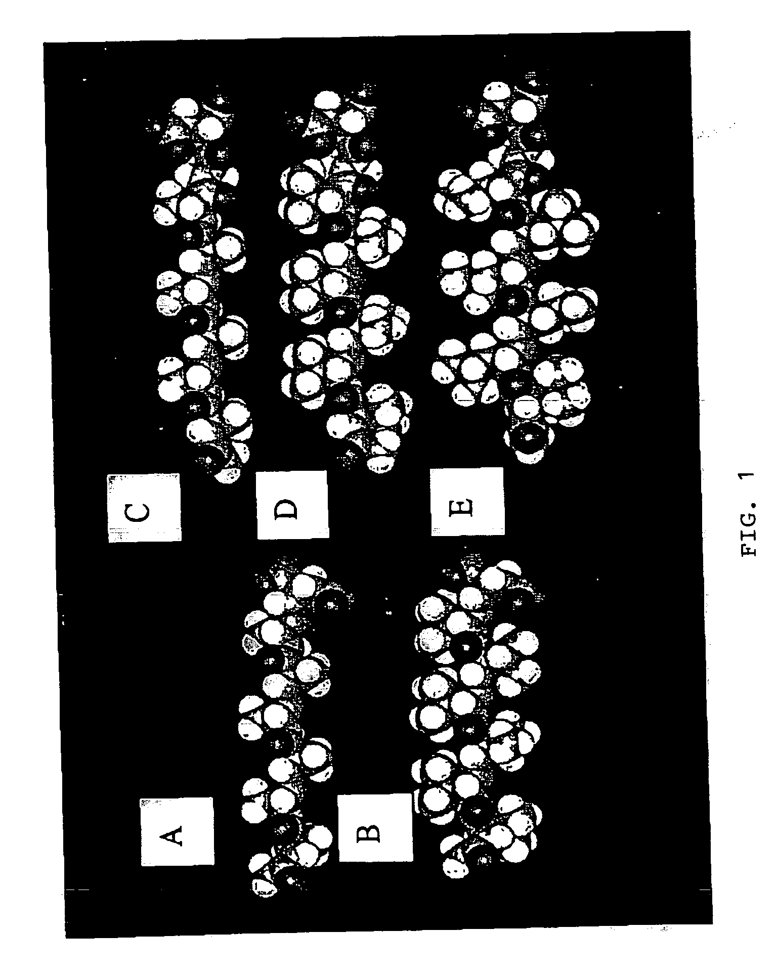 Surfactant peptide nanostructures, and uses thereof