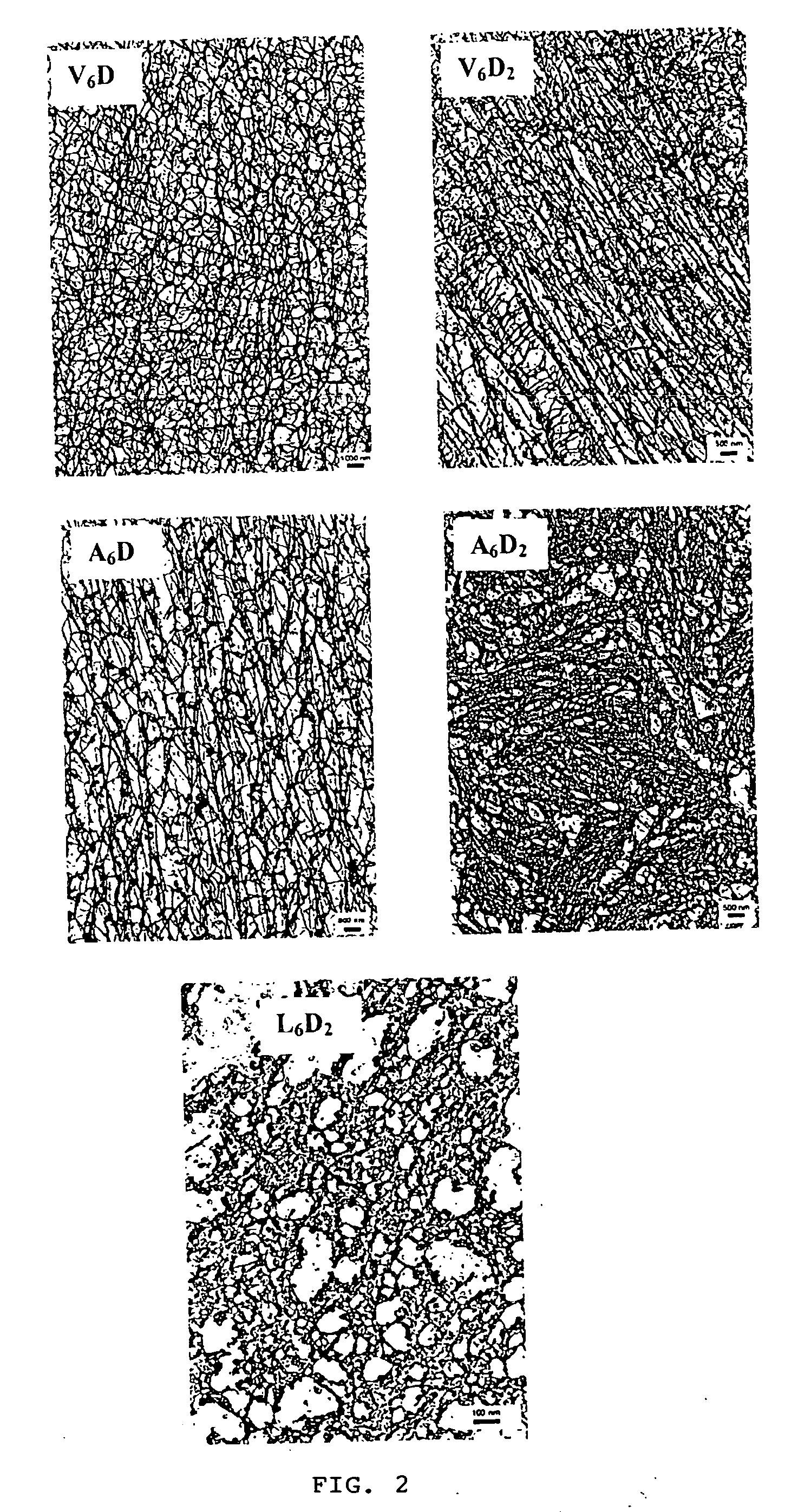 Surfactant peptide nanostructures, and uses thereof