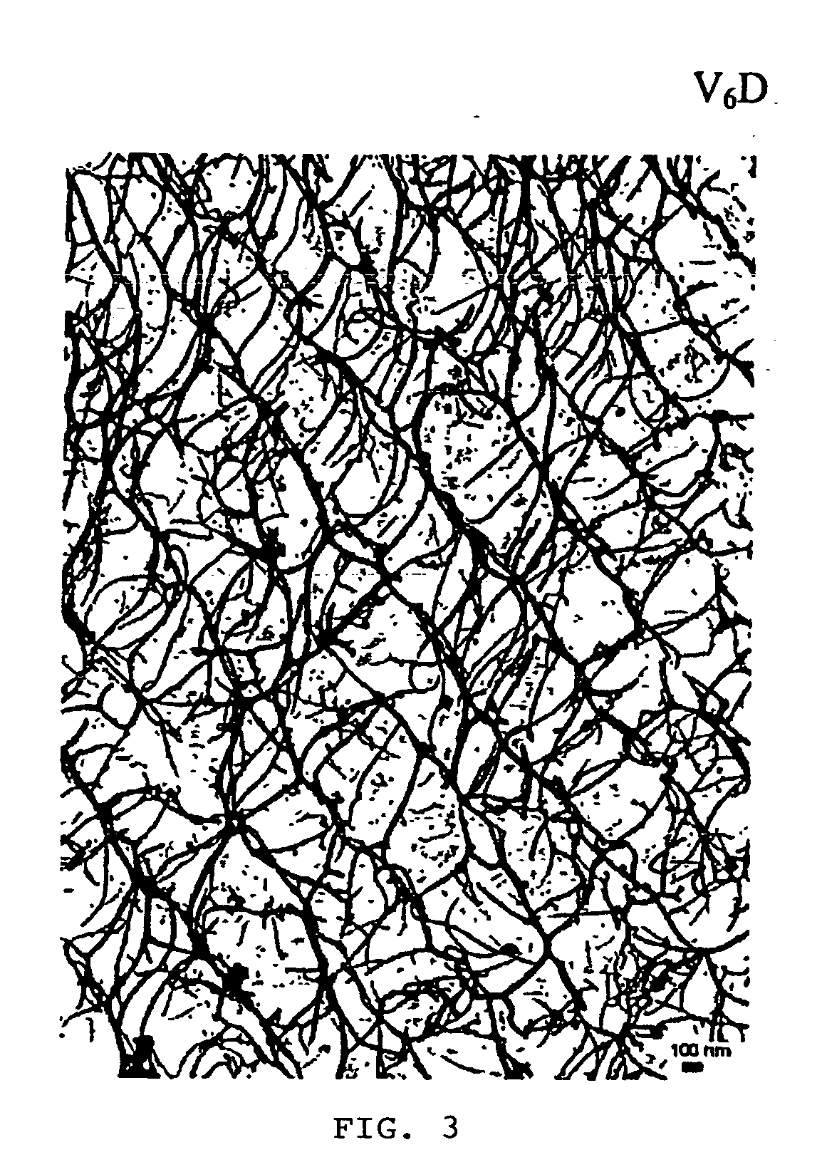 Surfactant peptide nanostructures, and uses thereof