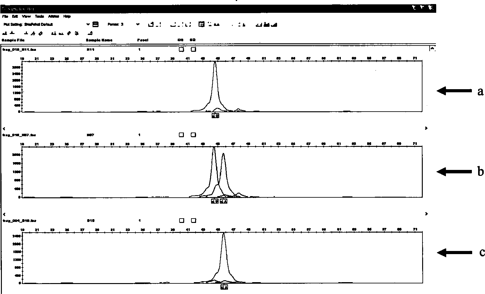 Susceptible/resistant MUC13 molecular marker capable of identifying F4 weaning brash of piglets and application