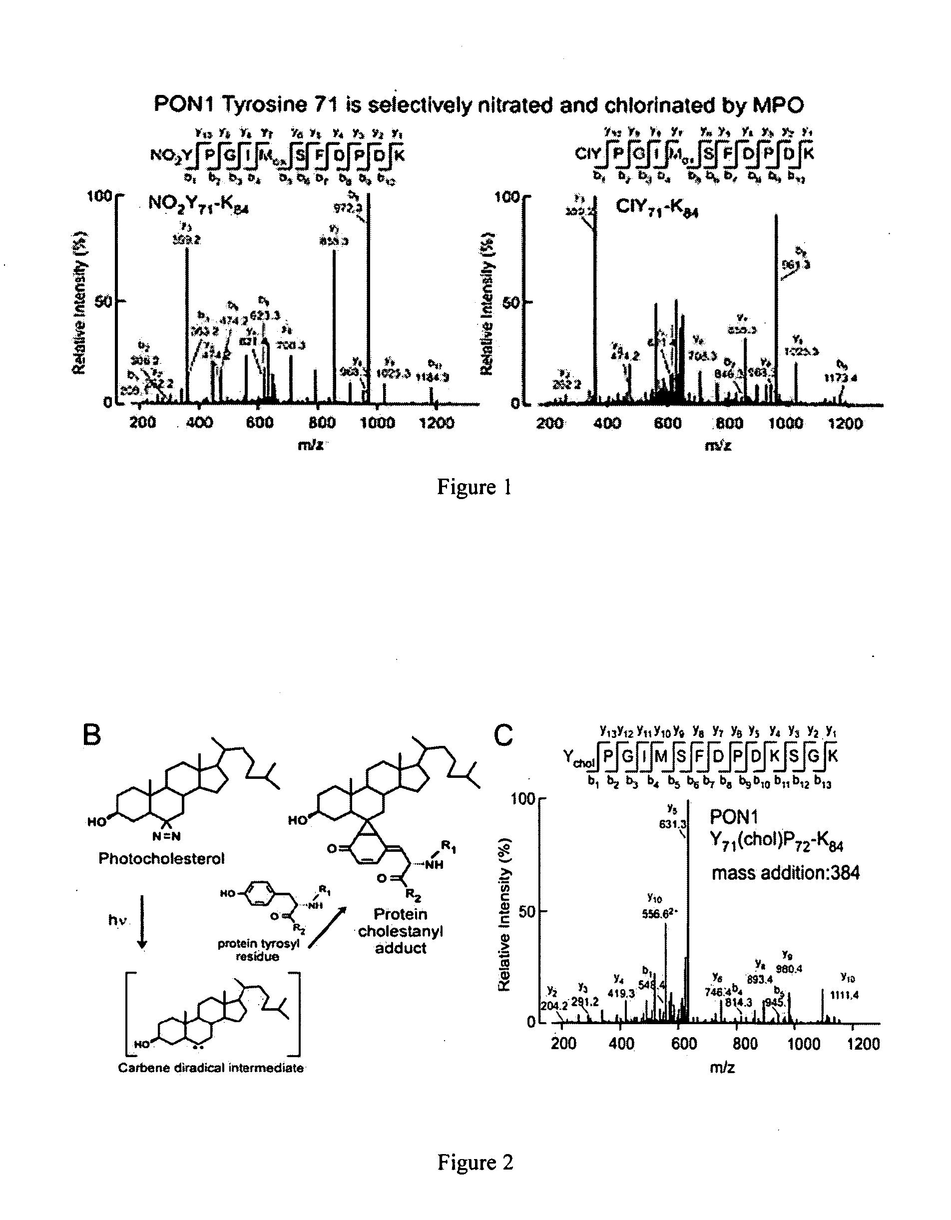 Oxidized paraoxonase 1 and paraoxonase 1/hdl particle number ratio as risk markers for cardiovascular disease