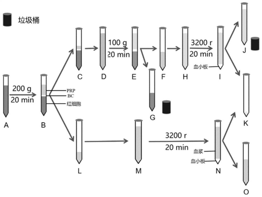 Pig platelet lysate and preparation method thereof