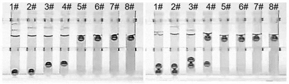 Pig platelet lysate and preparation method thereof