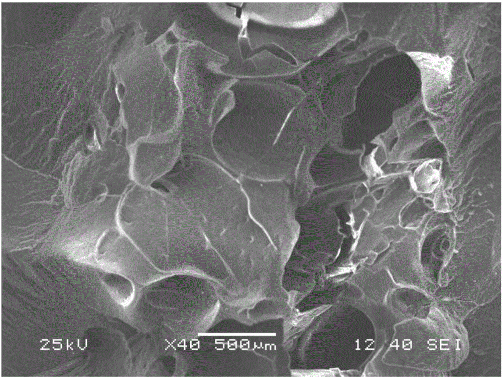 Water foaming injection method by using super absorbent resin as carrier