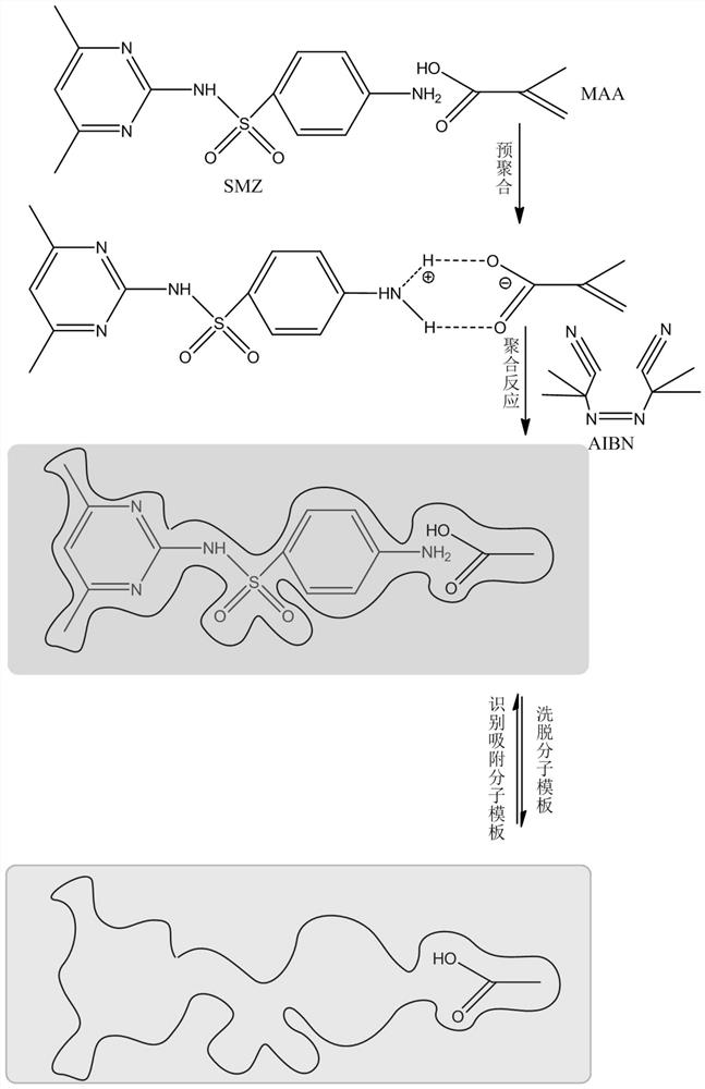 Molecularly imprinted polymer materials and applications for purifying sulfonamides in water