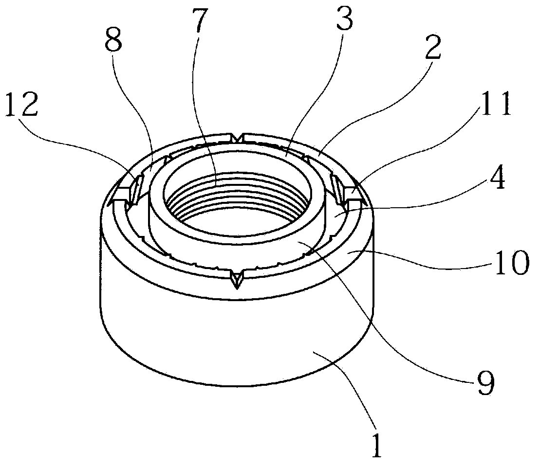 Penetrated screw nut