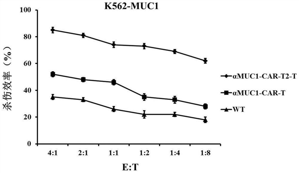 Enhanced MUC1 targeting chimeric antigen receptor and application thereof