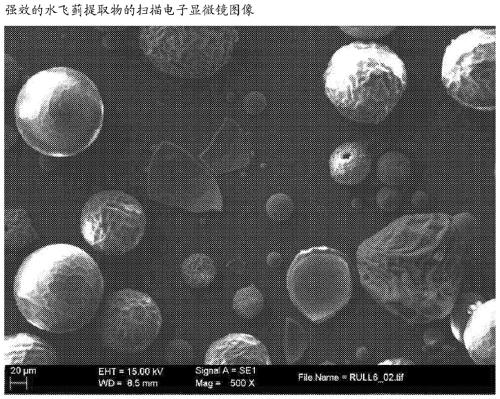 Enhanced solubility of milk thistle extract