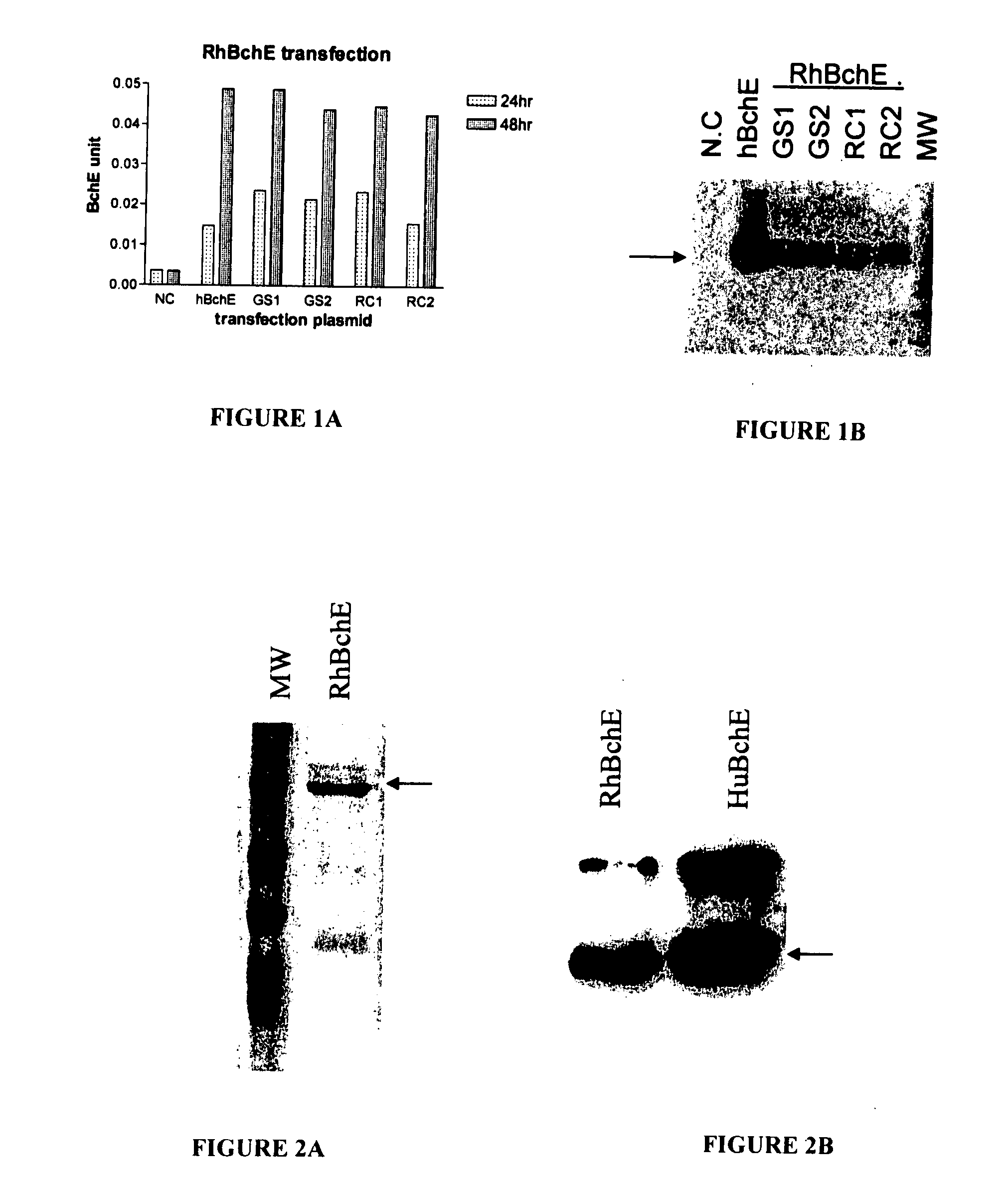 Novel methods for ester detoxication