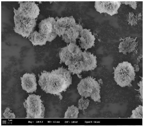 Preparation method of flower-like nickel oxide composed of porous sheets